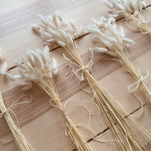 Load image into Gallery viewer, Bunny Tails -White