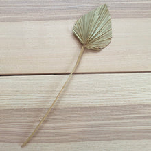 Load image into Gallery viewer, Palm Spear Small - Natural