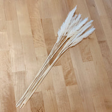 Load image into Gallery viewer, X-Small Pampas - 10 stems - White