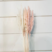 Load image into Gallery viewer, X-Small Pampas - 10 stems - White
