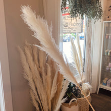 Load image into Gallery viewer, Big Pampas - White