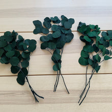 Load image into Gallery viewer, Eucalyptus - Populus