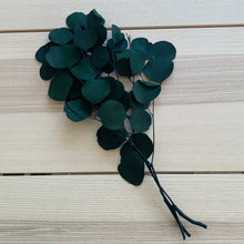 Load image into Gallery viewer, Eucalyptus - Populus