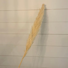 Load image into Gallery viewer, Big Pampas - Beige Cream