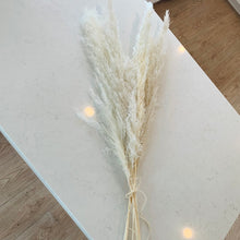 Load image into Gallery viewer, Big Pampas - White