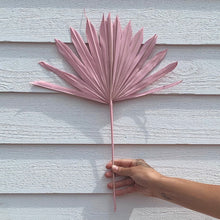 Load image into Gallery viewer, Palm Sun Leaf - Light Pink