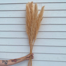 Load image into Gallery viewer, Big Pampas - Beige Cream