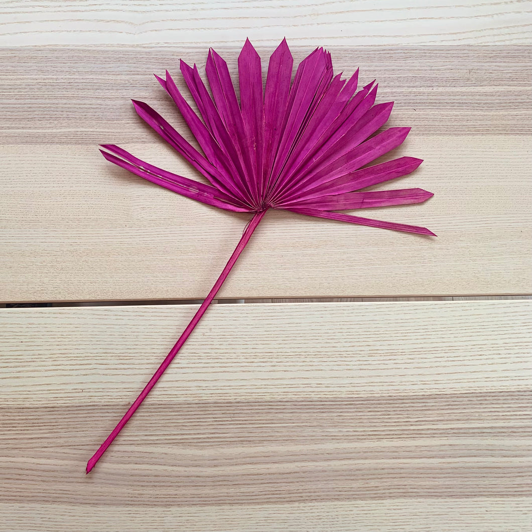 Palm Sun Leaf - Dark Pink