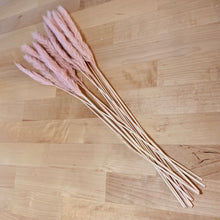 Load image into Gallery viewer, X-Small Pampas - 10 stems - Pink
