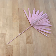Load image into Gallery viewer, Palm Sun Leaf - Light Pink
